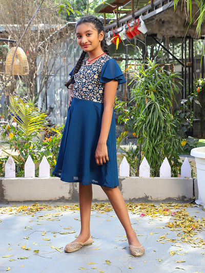 Blue Embroidered Flared dress