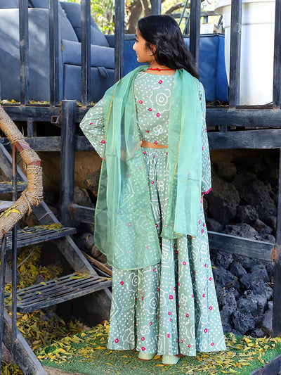 Mint bandhani Lehenga Choli